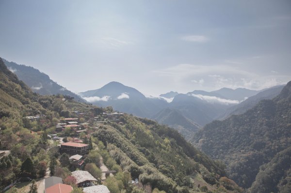 20200310-司馬庫斯神木群步道914318