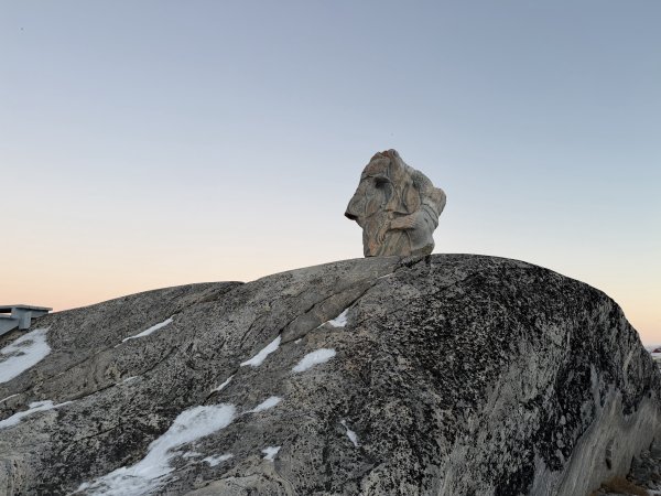 [紐約馬之行-39] 2025_1107 黃線步道登山口2950391