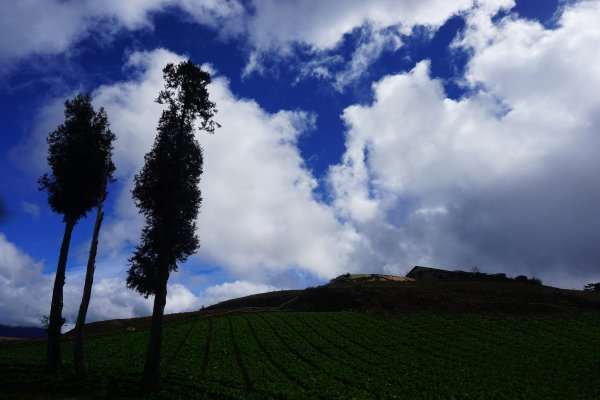 深秋。楓紅1190458