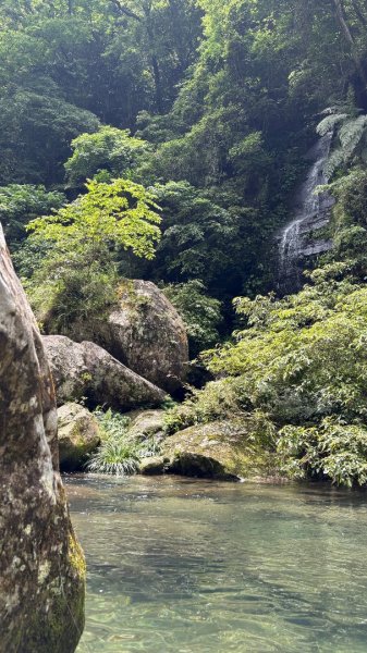 戲水（鴛鴦2786695