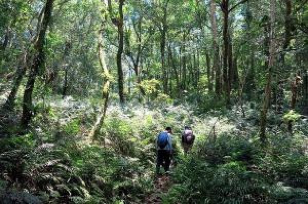 【新北市】烏來-美鹿山、高腰山、拔刀爾山