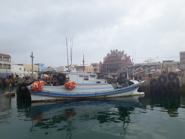 東海鳥嶼-潮間帶與海中道路2179445