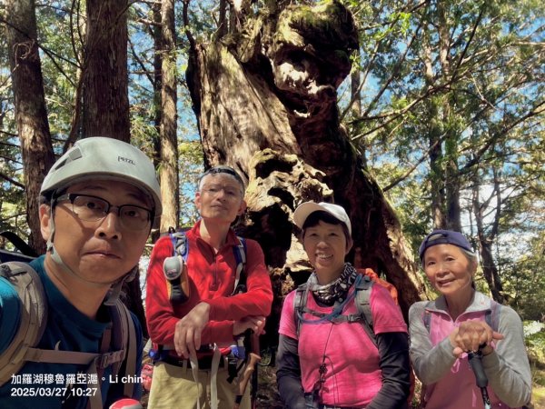 大同加羅湖穆魯洛亞滬庫霞四季警備道2748286