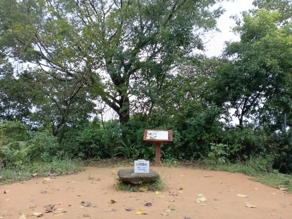 內湖區大湖公園+白鷺鷥山2931146