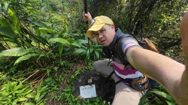 20250427魚衡山-南峰-南南峰-猴山岳北北峰-北峰-主峰-前峰-西峰下指南宮2771945
