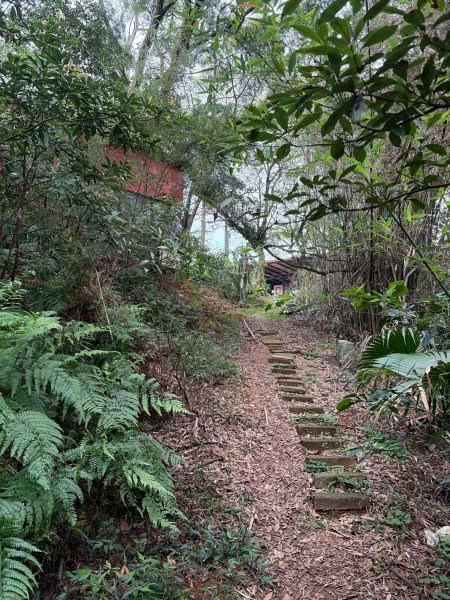新北 林口 國際AI智慧園區-工一森林小徑-雪花步道-祖師巖登山步道-湖內公園3019082