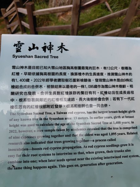 稍來小雪山國家步道、船型山、鞍馬山、鞍馬山東北峰、天池、雪山神木2799959