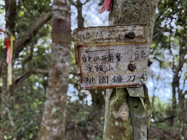 白毛山O繞+臭頭山 202505172791748