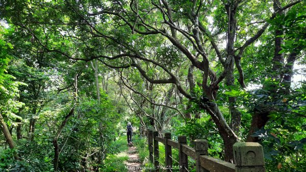 《彰化》果園古道｜廣天宮隴頂古道到鳳山寺O繞202509142884046