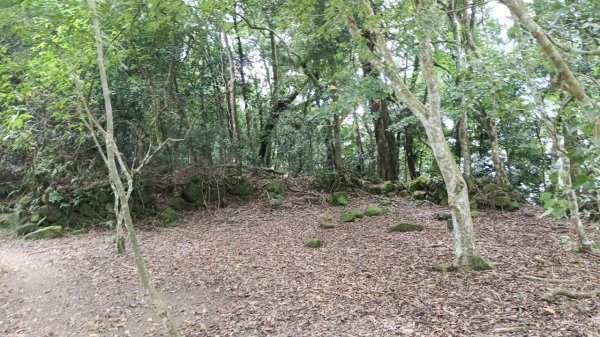 20251004 馬那邦山 - 珠湖 登山口2904829