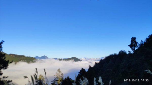 大雪山神木&天池715485