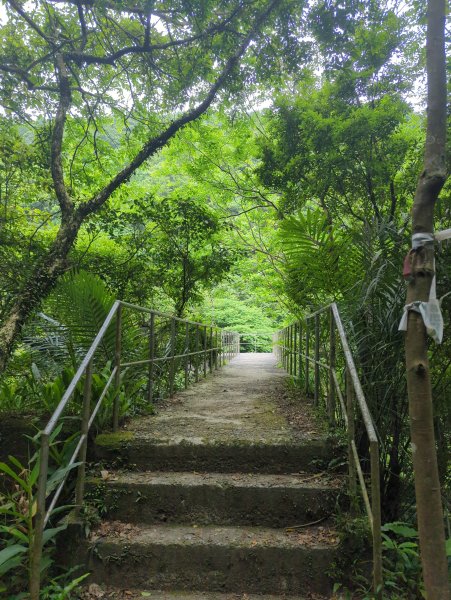 2025.05.03－燦光寮山O行縱走2782441