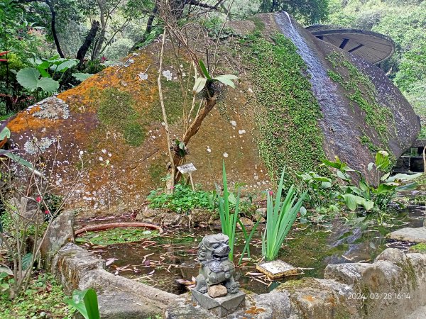 【臺北大縱走4】風櫃嘴→雙溪溝古道→五指山古道→大崙頭山北面步道→許願步道→圓覺寺步道→大溝溪→大湖2469153