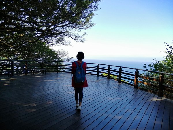 屏東琉球~渾然天成的珊瑚礁岩美人洞步道978712