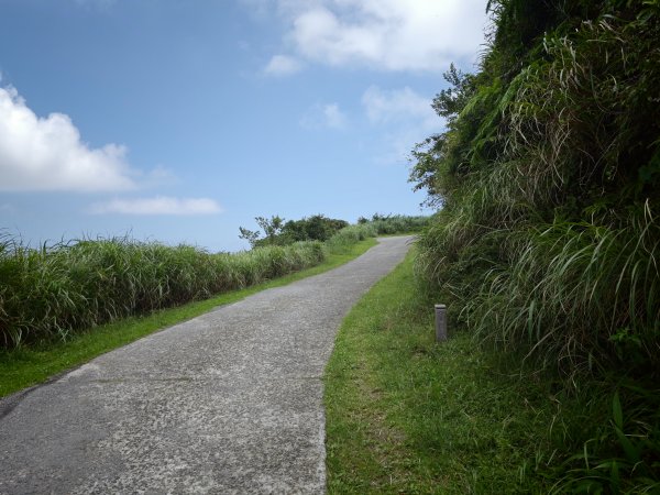 [淡蘭古道] 2026_0531 北路第一段_燦光寮古道(上)-草山戰備道3070689