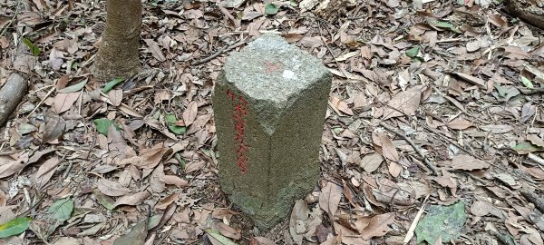 20230404_出磺坑山+古油井步道O型2094208