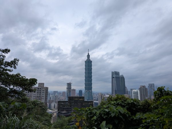 2025-05-17 三進三出九五峰 (象山、中華科大、麗山橋)2796889