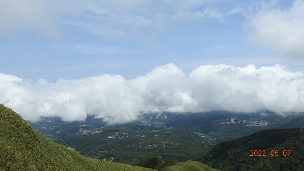 雲山水花鳥蝶 - 天龍國阿伯的日常5/71704615