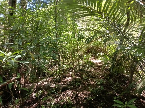 平溪區灰窯山驚險岩稜+司公碗帽山O型2897927