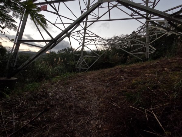 三峽動物縱走-熊龜牛雞鹿 2022.1.311596731