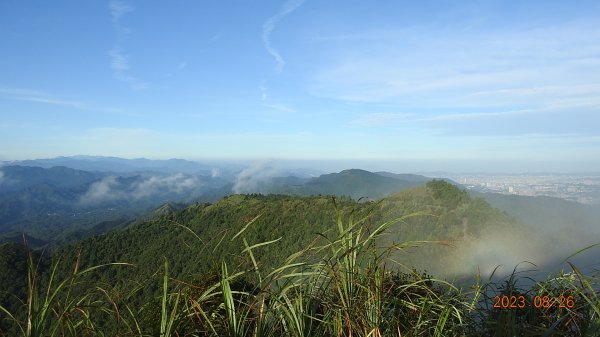 五分山雲霧飄渺首遇觀音圈/眺望基隆山/基隆嶼/基隆港夜景&平溪 #艷紅鹿子百合 #金花石蒜2262519