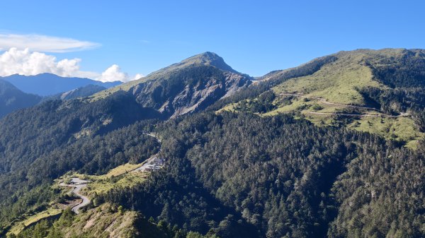 合歡山北峰 小溪營地 鷹角石 合歡北峰名樹2915338