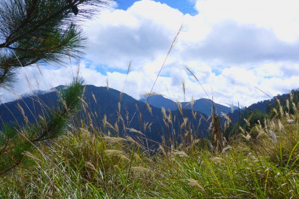 110.10.30~31閂山、鈴鳴山1500983