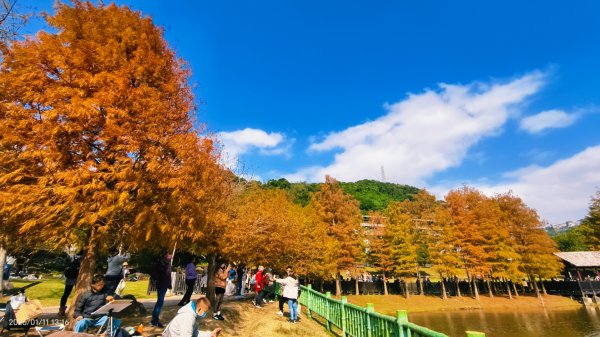 #花卉試驗中心 #永公路500巷 #平菁街42巷 #原住民公園 #士林官邸 1/42980343