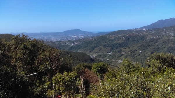 【臺北親山拓印趣】林蔭青蔥的大崙頭尾山738365