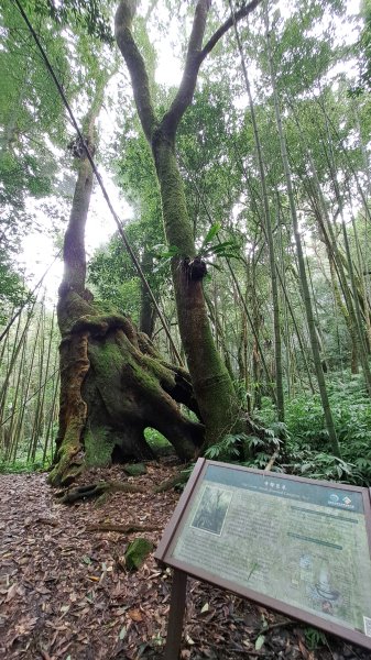 20241010 嘉南雲峰+石壁山2628519