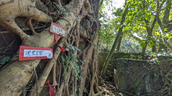 隆隆山腰古厝群,隆隆山,福卯古道2405326