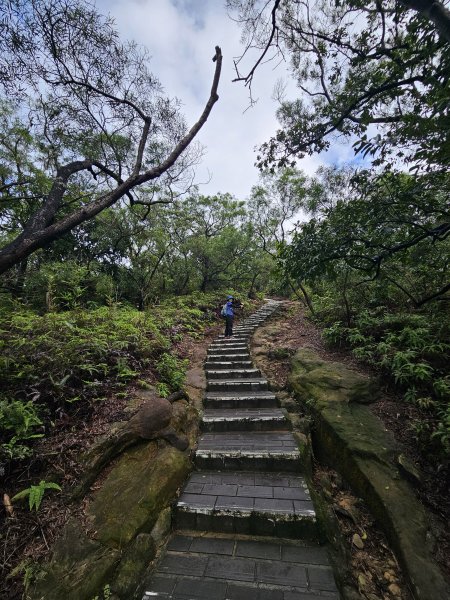 軍艦岩、丹鳳山親山步道3110715
