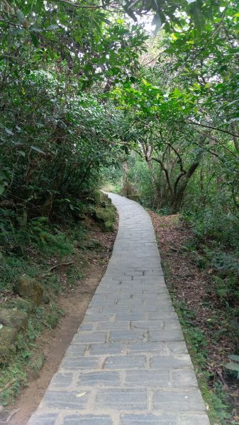 白鷺鷥步道。大溝溪步道。圓覺寺步道354608