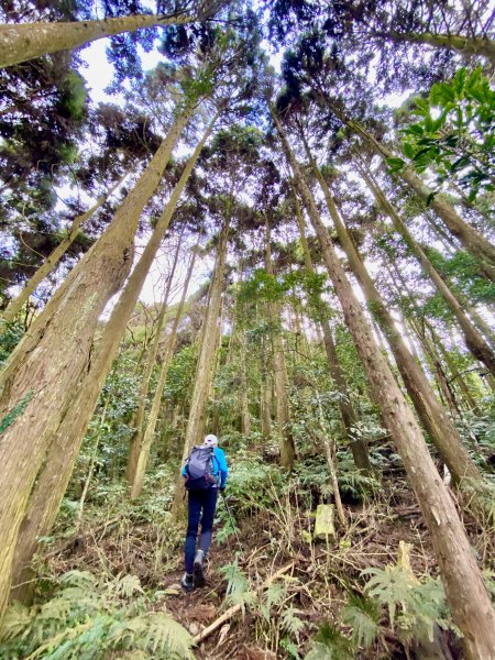 洗水山北峰.細道邦山(南峰)輕鬆撿--雲海花海看飽看滿   2022/2/101607008