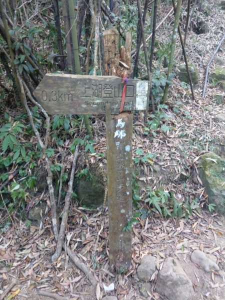 2019.12.01 苗栗馬那邦山761524