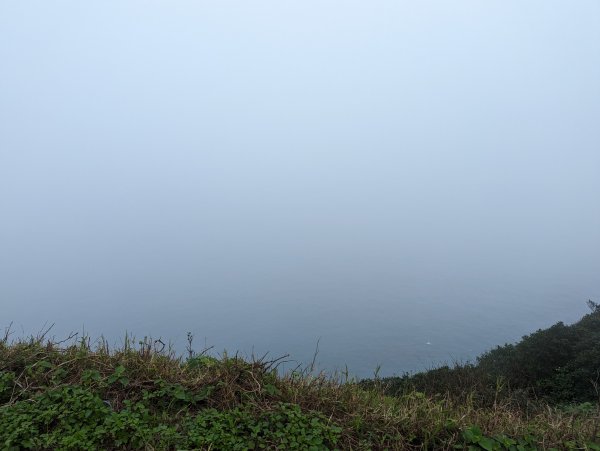 2023-02-11 忘憂谷步道2792581