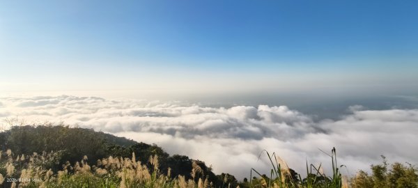 #觀音山 #雲海 #夕陽 #琉璃光 2/42993048