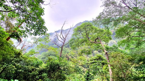 三峽雲森瀑布，竹崙山，水車寮林道，十七寮山，桃園虎頭山環保公園，虎嶺迎風步道，忠烈祠步道1725325