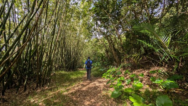 114.11.09草嶺古道芒花季之旅2932932