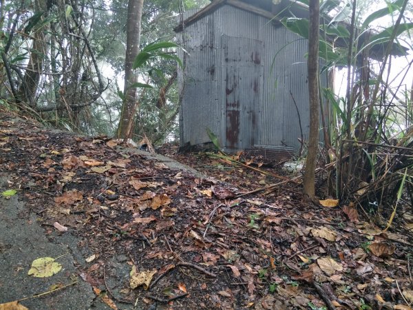 谷關八雄:阿白縱走-阿冷山+四壯士步道1513887