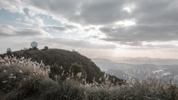 菅芒浪白｜五分山2356436