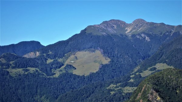 穿梭叢林桃山瞻仰巨木的殿堂桃山神木之行1656674