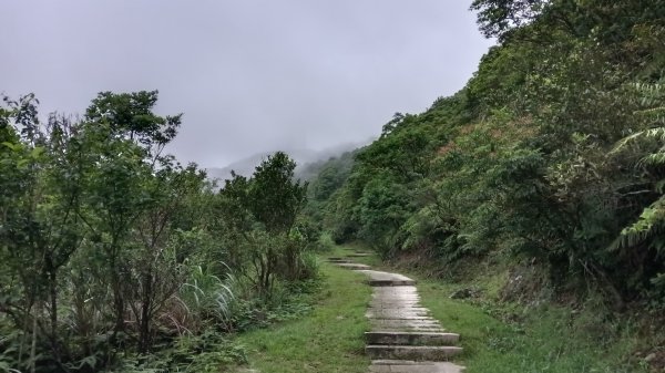 瑞芳區金瓜石地質公園-大粗坑古道(大粗坑山+小金瓜露頭)-樹梅坪-百二崁古道-金瓜石地質公園步道O型3055285