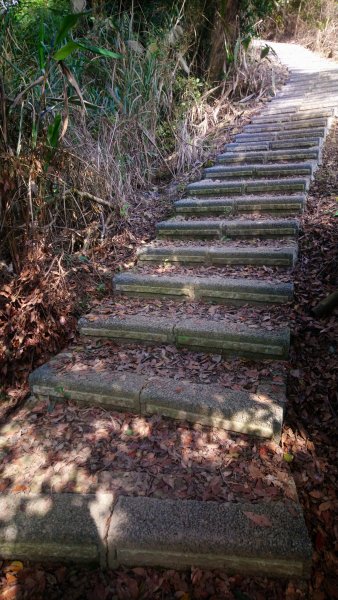 出關古道關刀山步道1584801