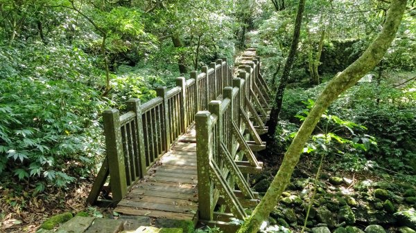 環七星山步道,百拉卡步道,清天宮1794856