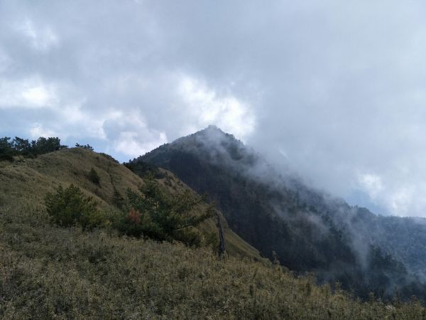 2018.03.17 郡大山麟趾山特富野290765