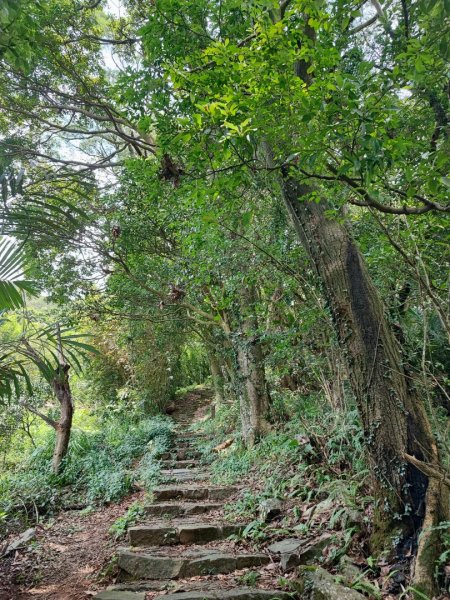 中正山- 走遍陽明山尋寶任務2250397