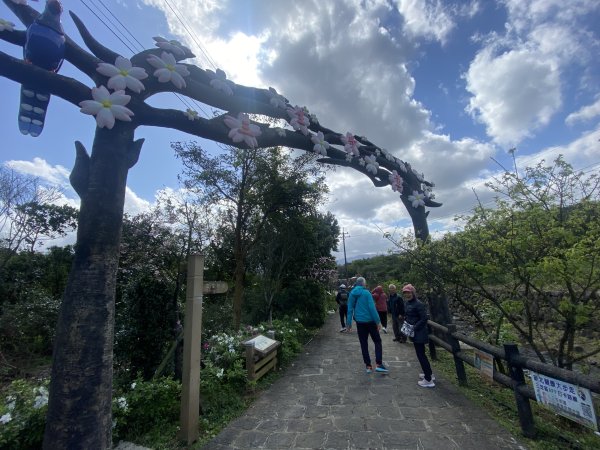 🚗從淡金公路出發｜三生步道櫻花與田園風光・春日療癒散步3018726