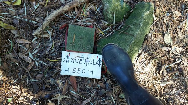 北投清天宮-外人別莊-馬偕別墅-面天山系O型走2787749