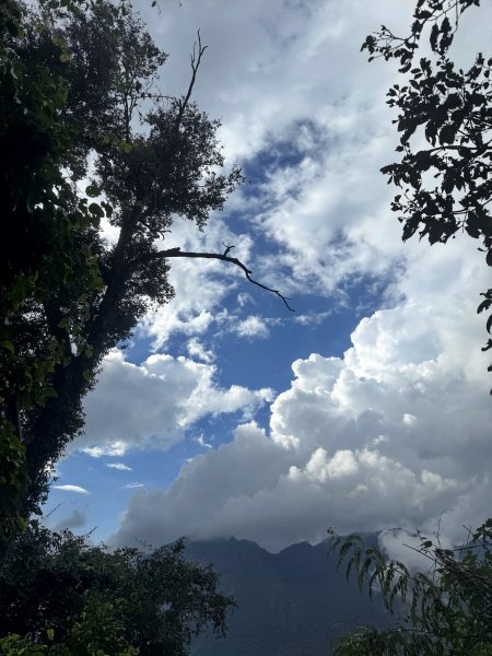 回程下雨的 松鶴上 八仙山 202510252925765